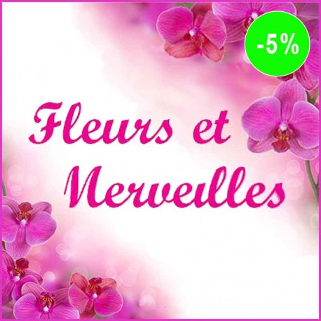 FLEURS ET MERVEILLES