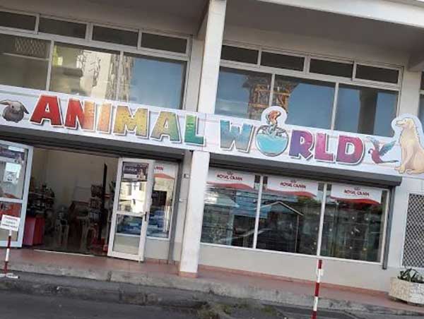 animal-world-1.jpg